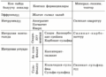 04:16, 4 Июль (Теке) 2025 -дагы версиясы үчүн кичирейтилген сүрөтү