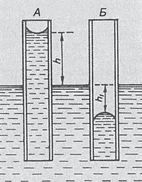 Файл:КАПИЛЛЯРДЫК КУБУЛУШ34.png