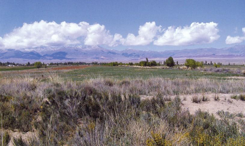 Файл:КАРАКОЛ ӨРӨӨНҮ15.png