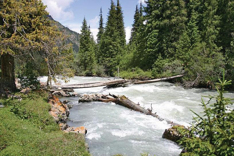 Файл:КАРАКОЛ 111.png