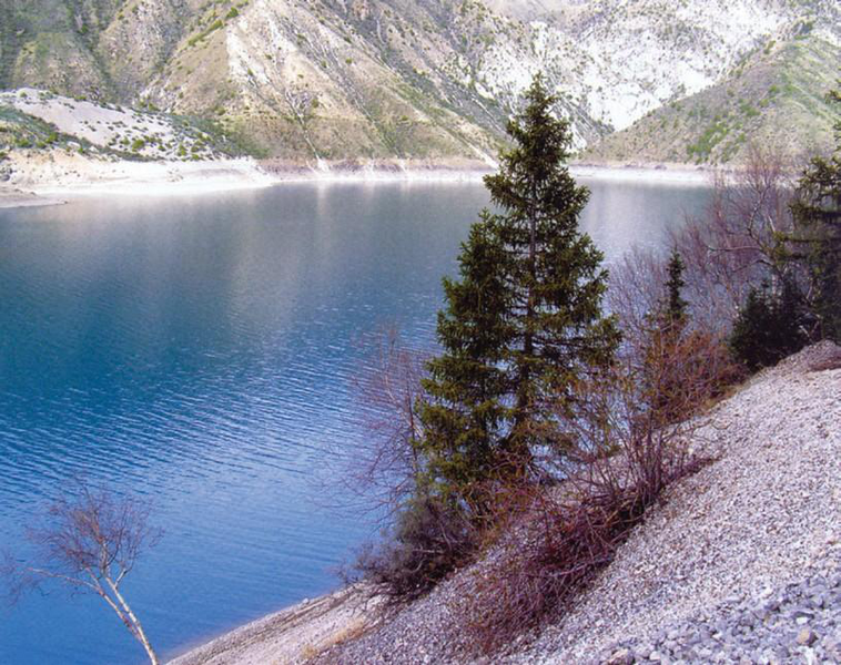 Файл:КАРА-СУУ КӨЛҮ39.png