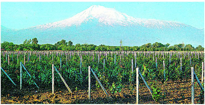 Файл:АРМЕНИЯ 17.png