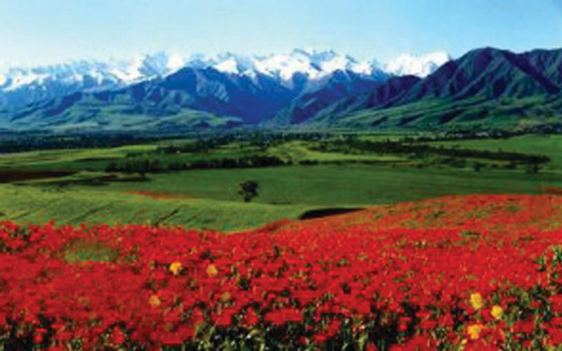 Файл:КАРА-СУУ РАЙОНУ40.png