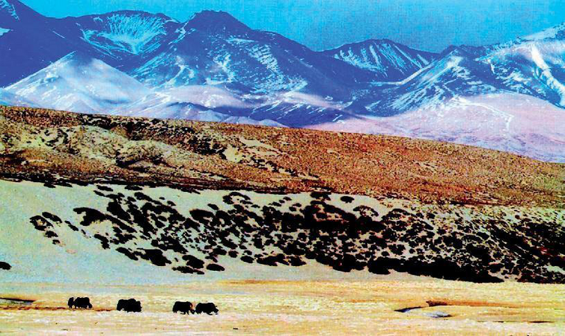 Файл:КЫТАЙ 256.png