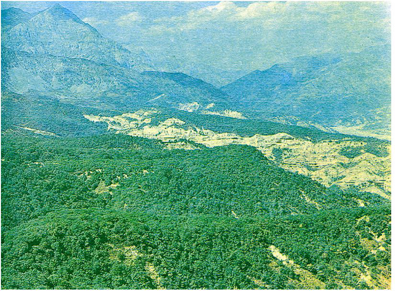 Файл:АРСТАНБАП ӨРӨӨНҮ 29.png