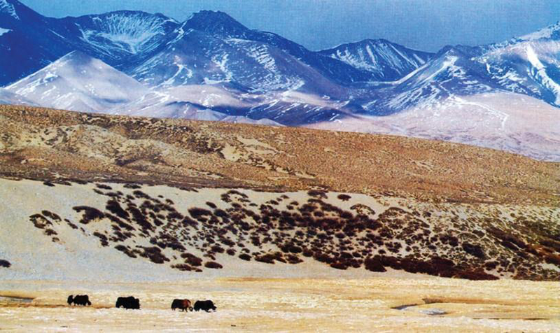 Файл:КЫТАЙ 255.png