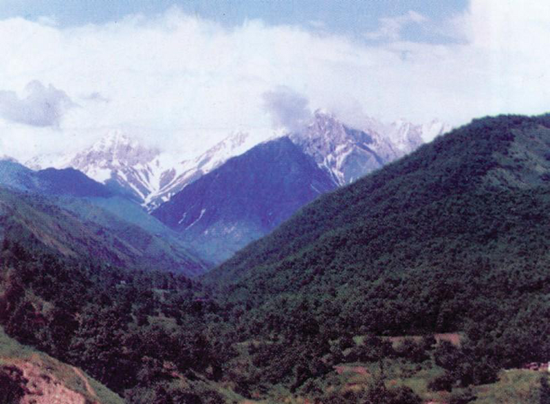 Файл:КАРА-АЛМА ӨРӨӨНҮ44.png