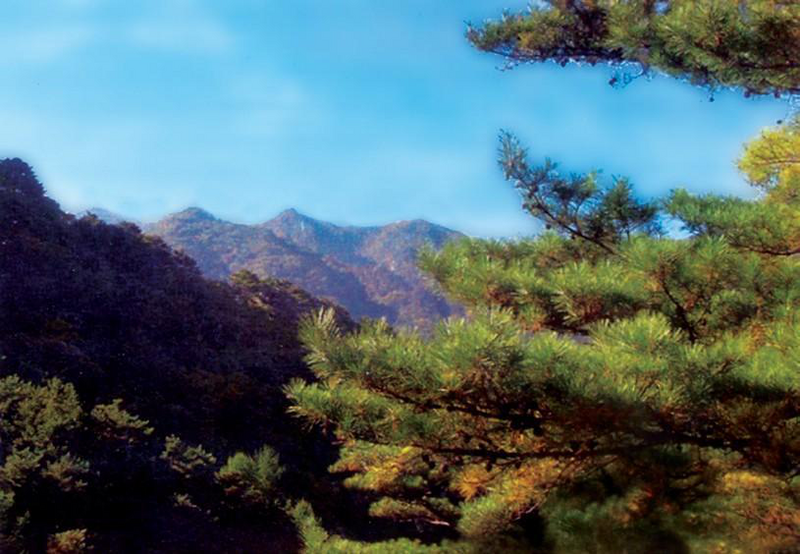 Файл:КОРЕЯ КЭДР4.png