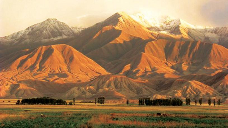 Файл:КОЧКОР ӨРӨӨНҮ45.png