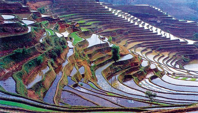 Файл:КЫТАЙ 266.png